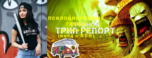 кристаллы Заводоуковск