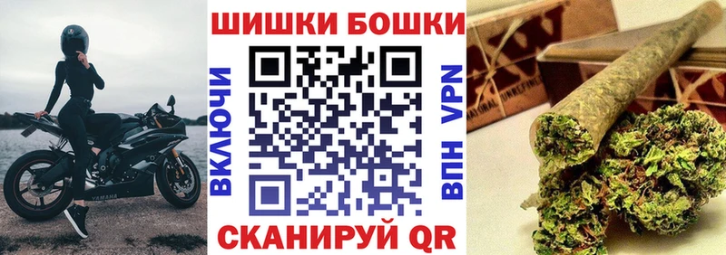 Бошки Шишки планчик  Купить закладки  Усть-Илимск 